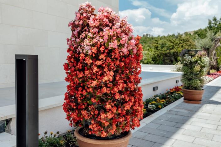 Image No.28-Villa de 5 chambres à vendre à Budva