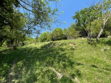 14072-Risan-plot-with-perfect-views--1-