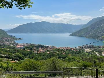 14072-Risan-plot-with-perfect-views--2-