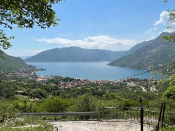 14072-Risan-plot-with-perfect-views--4-