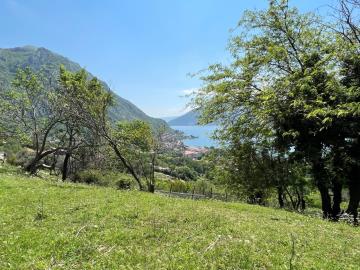 14072-Risan-plot-with-perfect-views--5-