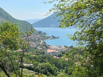 14072-Risan-plot-with-perfect-views--6-