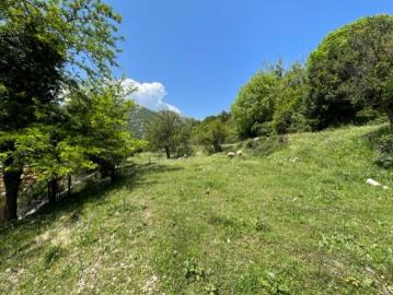 14072-Risan-plot-with-perfect-views--8-