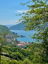 14072-Risan-plot-with-perfect-views--9-