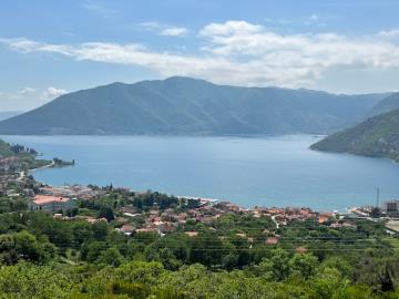 14072-Risan-plot-with-perfect-views--11-