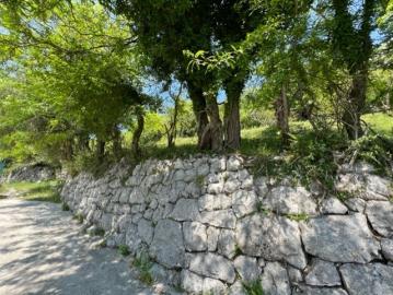 14072-Risan-plot-with-perfect-views--13-