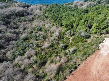 crvena-glavica-plac-12695--9-_1067x800