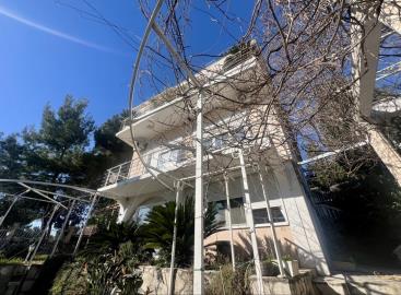 77062-kuca-zeleni-pojas--18-_1086x800