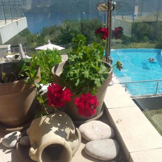 Image No.14-1 Bed Apartment for sale