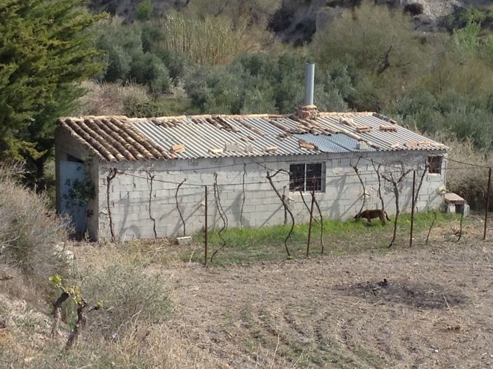 Image No.2-Terre à vendre à Lúcar