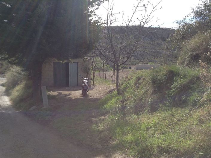 Image No.4-Terre à vendre à Lúcar