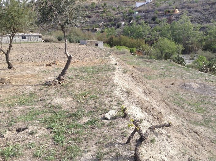 Image No.7-Terre à vendre à Lúcar