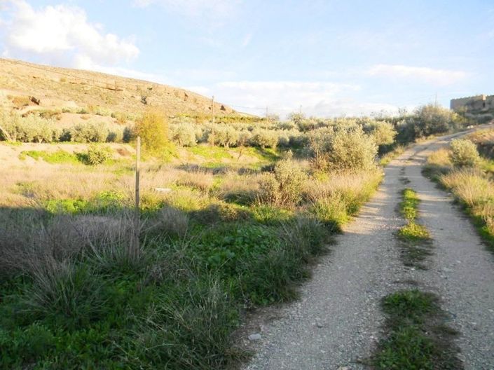 Image No.6-Terre à vendre à Albox