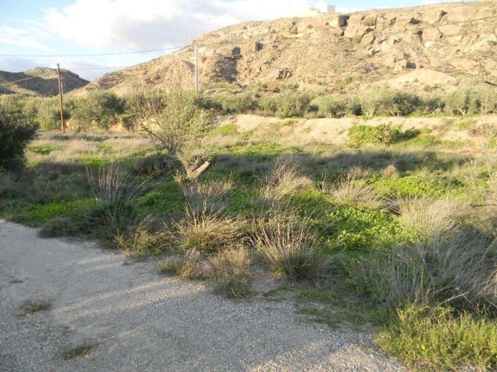 Image No.8-Terre à vendre à Albox