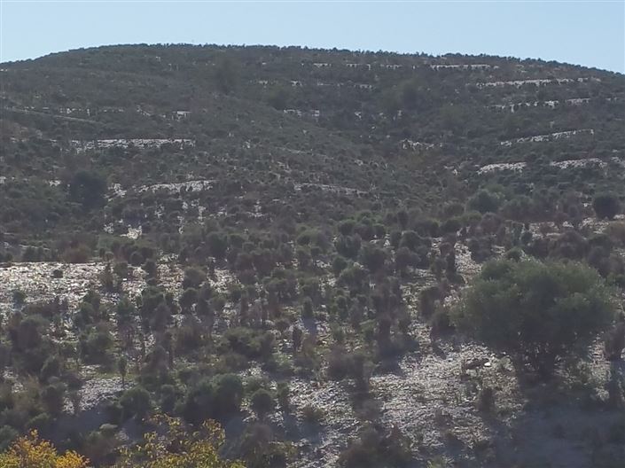 Image No.8-Land for sale