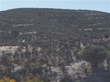 17630-land-for-sale-in-puerto-lumbreras-41768