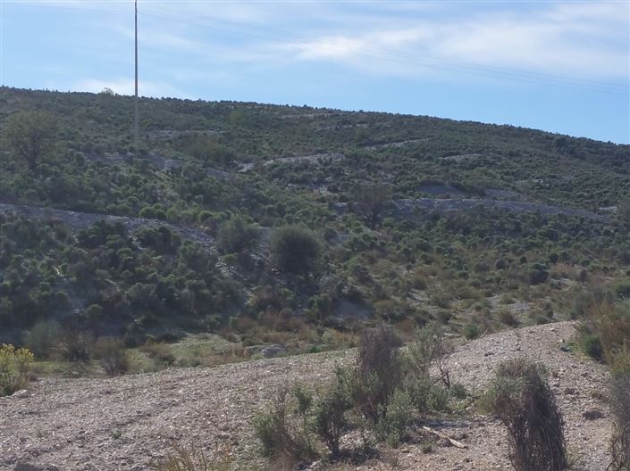 Image No.9-Land for sale