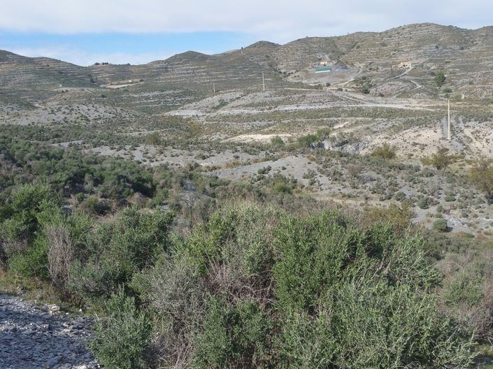 Image No.5-Land for sale