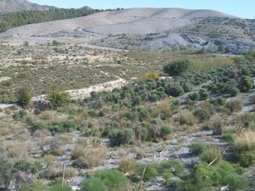 17633-land-for-sale-in-puerto-lumbreras-41770