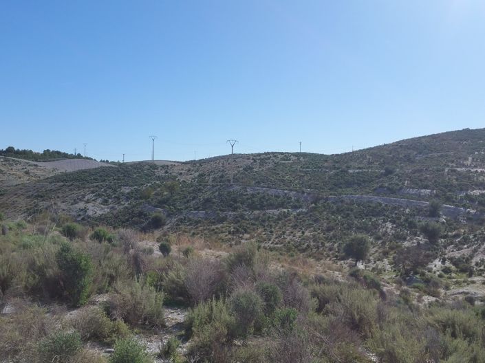 Image No.5-Land for sale