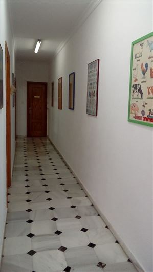 Image No.3-Commercial à vendre à Olula del Río