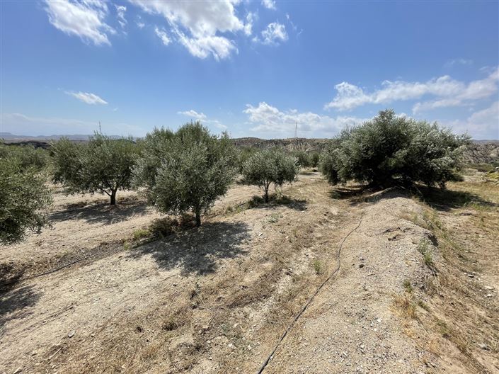 Image No.10-Terre à vendre à Huercal-Overa