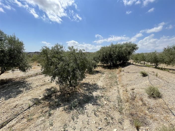Image No.13-Terre à vendre à Huercal-Overa