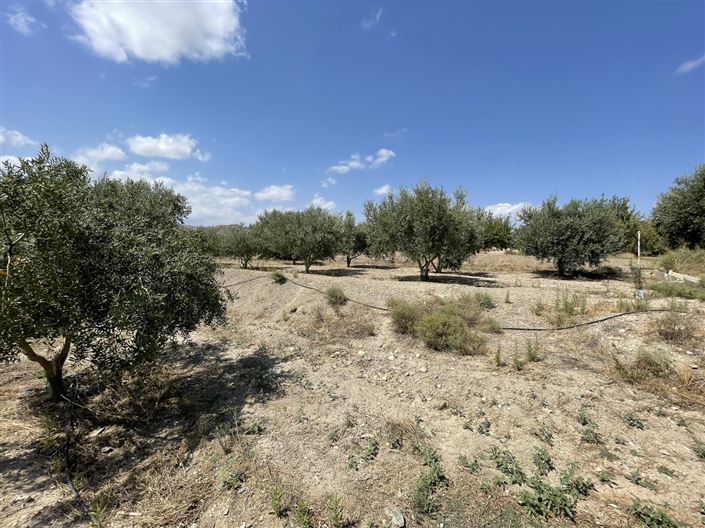 Image No.18-Terre à vendre à Huercal-Overa