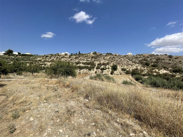 Image No.20-Terre à vendre à Huercal-Overa