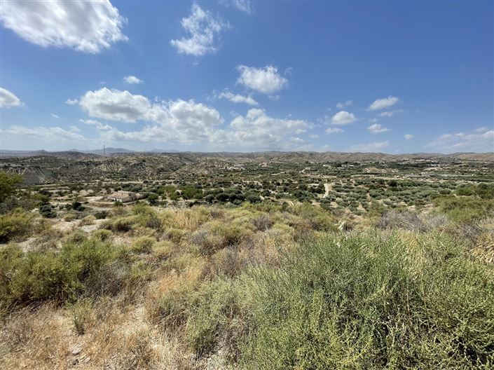 Image No.21-Terre à vendre à Huercal-Overa