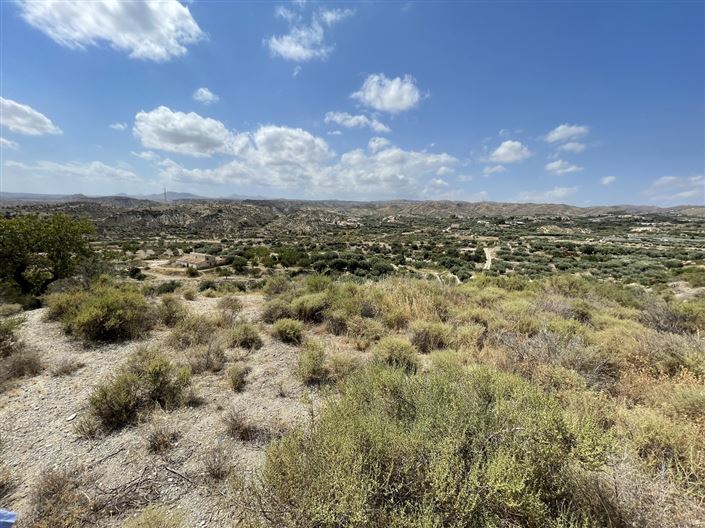 Image No.22-Terre à vendre à Huercal-Overa