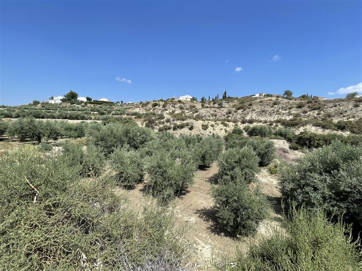 Image No.5-Terre à vendre à Huercal-Overa