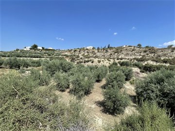 18748-land-for-sale-in-huercal-overa-499238-x