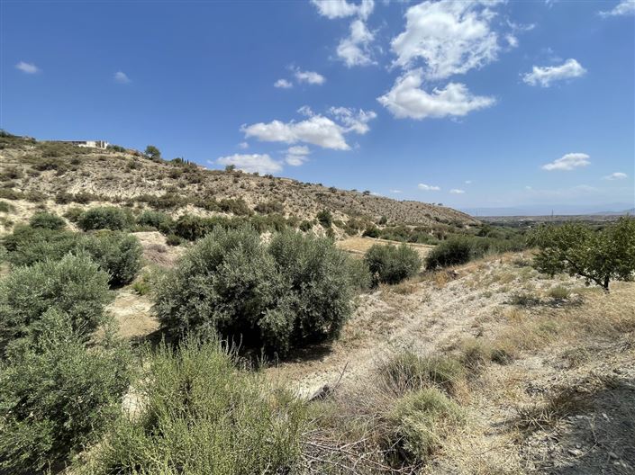 Image No.6-Terre à vendre à Huercal-Overa