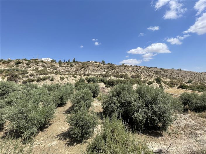 Image No.7-Terre à vendre à Huercal-Overa