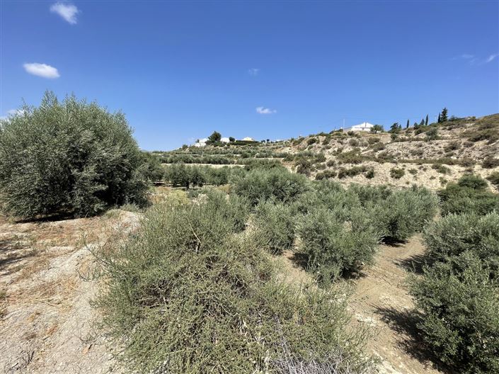 Image No.8-Terre à vendre à Huercal-Overa