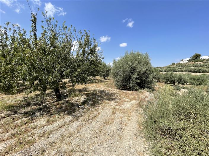 Image No.9-Terre à vendre à Huercal-Overa