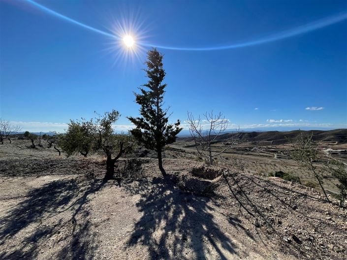 Image No.11-Terre à vendre à Huercal-Overa