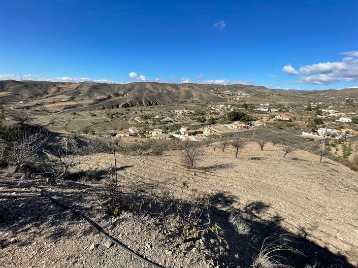 Image No.3-Terre à vendre à Huercal-Overa