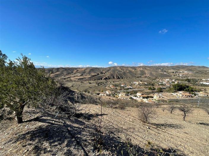 Image No.4-Terre à vendre à Huercal-Overa