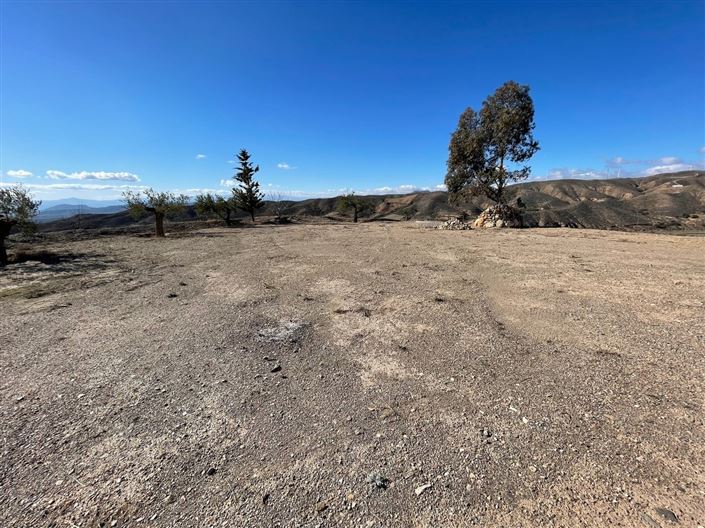 Image No.5-Terre à vendre à Huercal-Overa