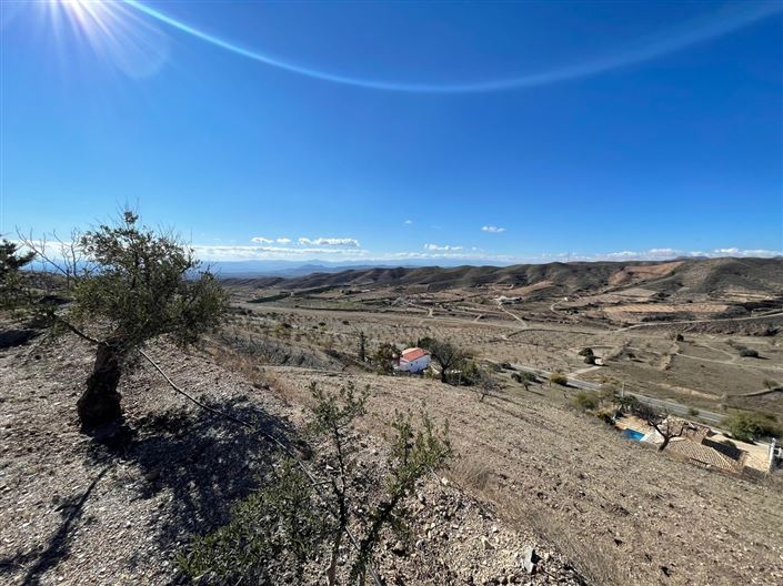 Image No.8-Terre à vendre à Huercal-Overa
