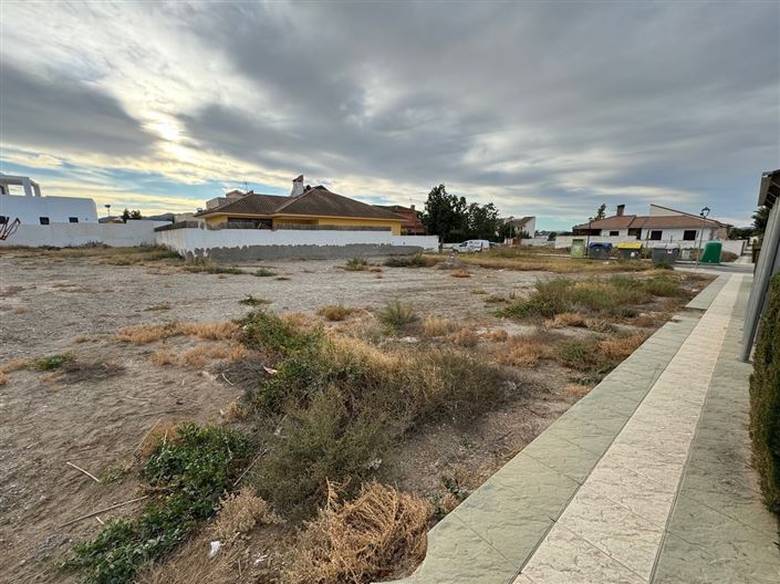 Image No.2-Terre à vendre à Huercal-Overa