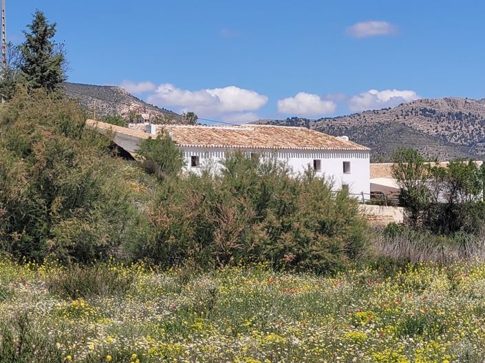 Image No.30-Propriété de 7 chambres à vendre à Velez Blanco