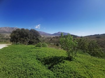 22859-cortijo-finca-for-sale-in-chirivel-8284