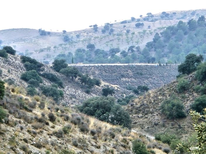 Image No.31-Propriété de 6 chambres à vendre à Velez-Rubio