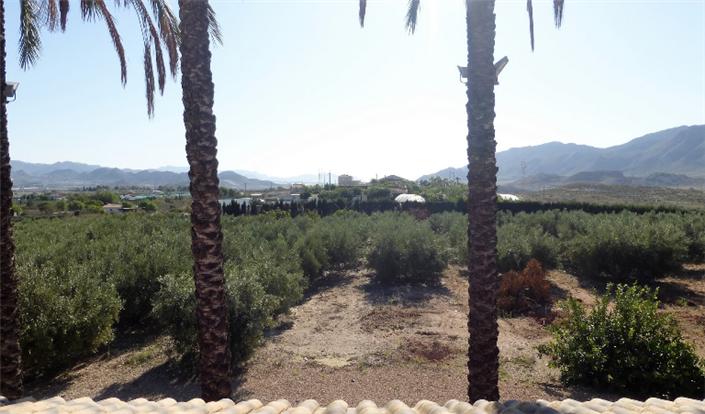 Image No.6-5 Bed Finca for sale