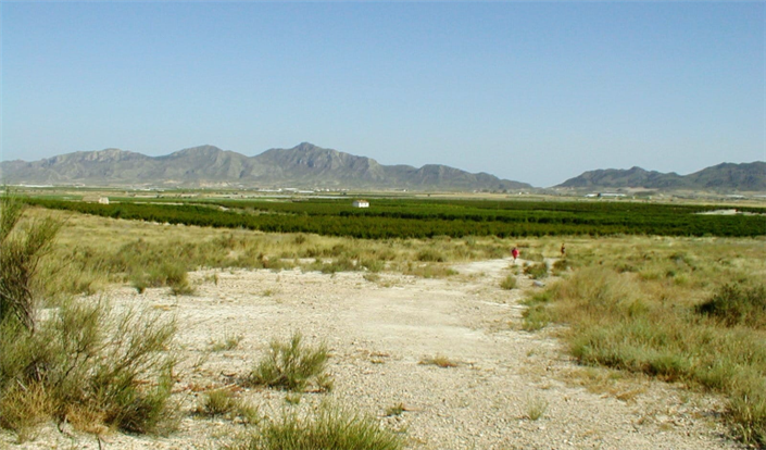 Image No.4-Plot for sale