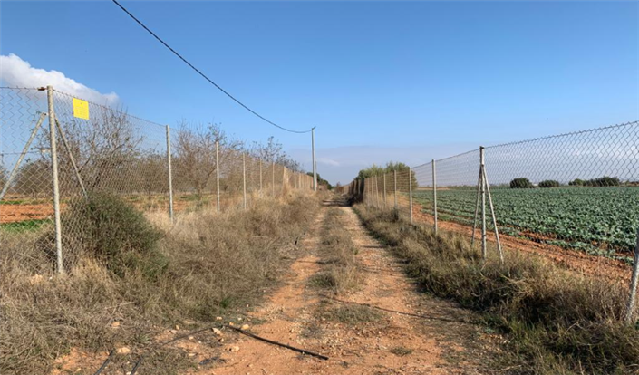 Image No.7-Finca for sale