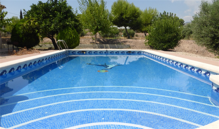 Image No.7-3 Bed Finca for sale